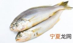 如何挑褆暧恪鲫鱼才?