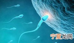精子存活时间有多长 精子能存活多久