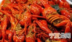 龙虾怎么养殖方法 龙虾如何养殖方法