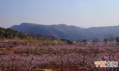 平谷蟠桃节是什么时候，平谷桃花海观景最佳时间