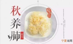 肺好身体棒--要想高效养生，该从何处人手呢