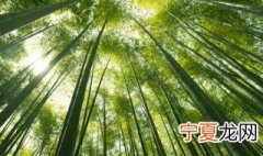 乡土树种是什么 乡土树种