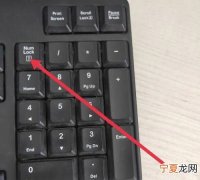 键盘突然打不出字怎么回事 键盘突然打不出字的原因