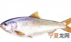吉安特产都有什么 吉安特产都有什么零食