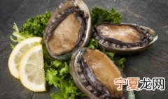 鲍鱼如何去腥味 鲍鱼怎么去腥味儿