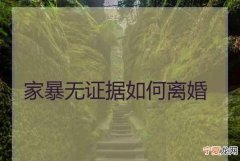 家暴没有证据能立案，离婚家暴没有证据怎么办