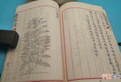 拾荒本草是哪个朝代的，救荒本草是哪个朝代的作者