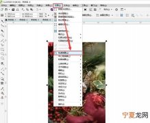 cdr里面怎么抠图，cdr应该怎么样才能切图