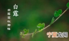 白露有什么特征 白露节气特征介绍