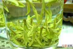 龙井是绿茶吗
