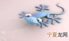 5毒是哪5毒 5毒简述