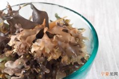 海苔是海里生长的，海苔主要是由哪种海藻制作的