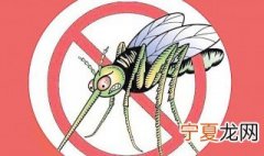 驱蚊啥方法好 驱蚊的方法