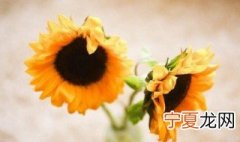 人怎样才能熬住 人如何才能熬住