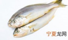 中国最大的黄鱼之乡是什么 黄鱼之乡是哪里