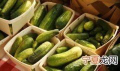 怎样种黄瓜产量高 如何让黄瓜高产