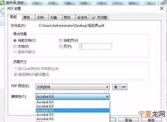 cdr能咋样导出pdf，cdr如何导出pdf格式需要什么条件