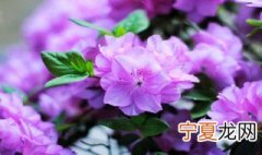 11月好运不停的星座 下面就让我们一起了解一下吧