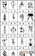 滕姓的来源，四川滕姓的由来