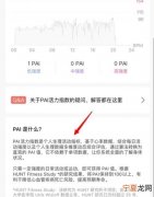 小米手环压力什么意思，小米运动的pai是什么意思