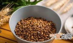 大麦茶回奶吗 大麦茶可以回奶吗