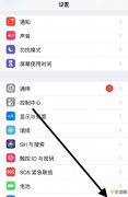 如何安装手机跳绳，苹果手机怎么下载天天跳绳app