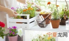 植物的生殖方式 植物的生殖