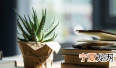 芦荟的养殖方法和浇水 芦荟的养殖方法是什么