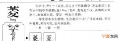 若菱的寓意，菱灿的意思及寓意
