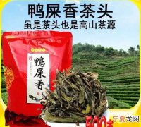 鸭屎香是什么茶，鸭屎香为什么有不同的香味