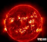 太阳具有5个特点，除此之外《太阳》一文还介绍孑太阳和的特点