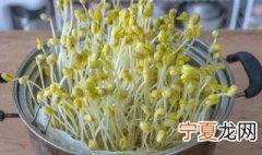 豆芽发芽了还能吃吗 吃豆芽的好处