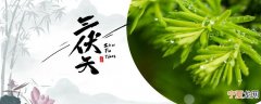 伏天晒背多长时间比较好 湿气重晒后背有用吗