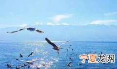 加油努力奋斗的句子 加油奋斗的短句