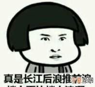 长江后浪推前浪下一句，长江后浪推前浪世上新人赶旧人是什么意思