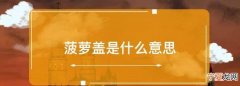菠萝盖是什么意思
