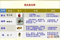 昆虫备忘录表达了作者什么之情