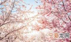 樱花和樱桃花一样吗 樱花和樱桃花是不是一样的