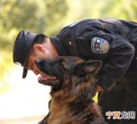 怎么领养警犬，怎么领养退休警犬