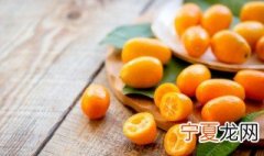 金桔膏的功效与作用禁忌 金桔膏的功效和作用禁忌介绍
