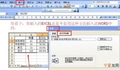 Word能咋样插入Excel