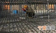 钢筋绑扎的注意事项 钢筋使用有哪些注意事项