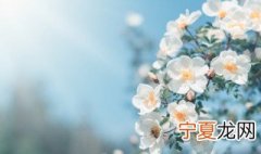 南方3月份天气冷吗 南方惊蛰三月份天气冷吗