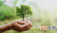 有关环保句子10条 十句关于环保的句子