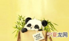 怎样保护动物 如何保护动物