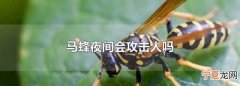 夜晚的雅称，夜晚的多种雅称