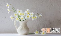 插花必学技巧 如何学习插花
