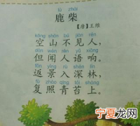 空山不见人但闻人语响是边塞诗吗