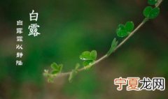 白露是夏天还是秋天 节气白露是夏天还是秋天