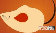 高楼灭鼠的方法 高楼怎么灭鼠